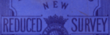PS1919ReducedSurveyLogo